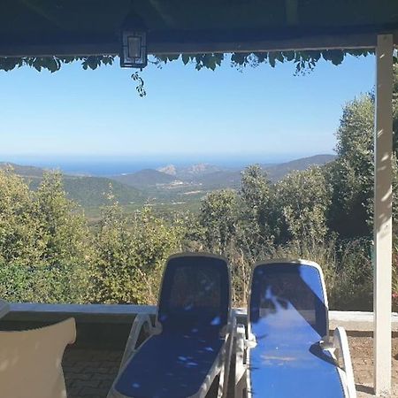 Vos Vacances A Lama France Corse 외부 사진