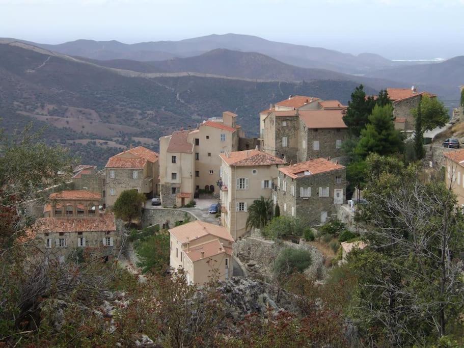 Vos Vacances A Lama France Corse 외부 사진