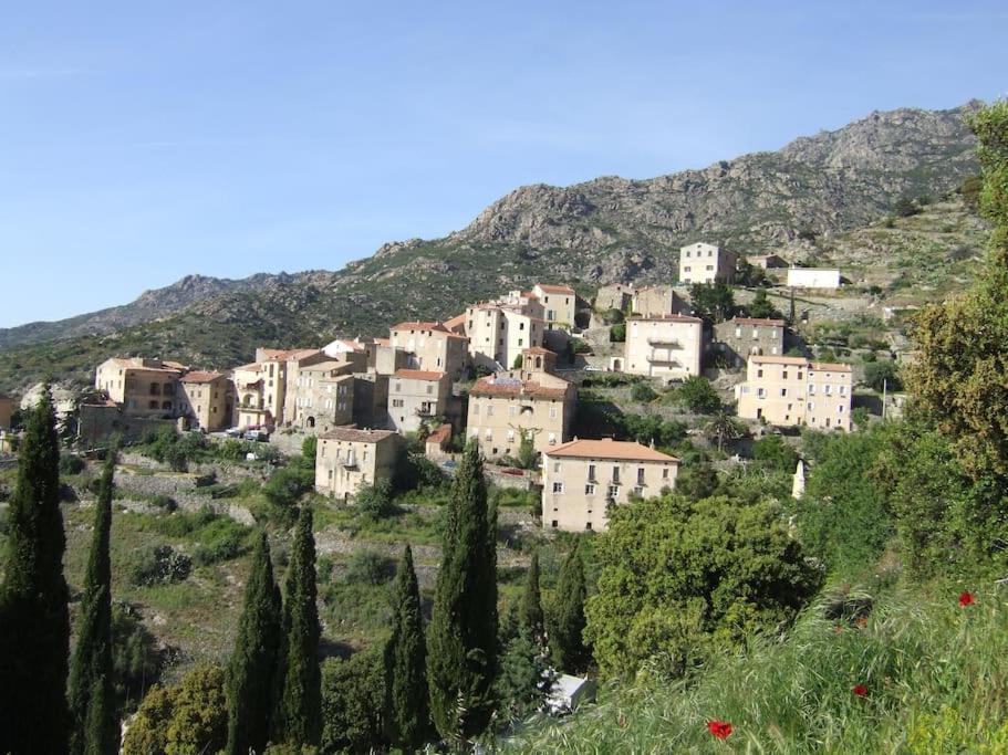 Vos Vacances A Lama France Corse 외부 사진