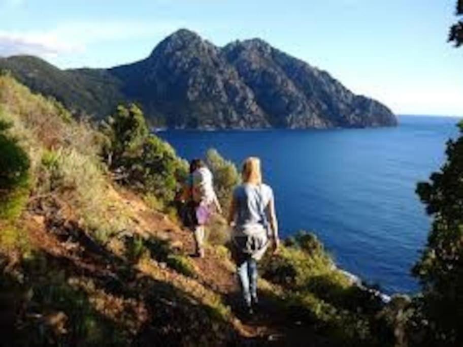 Vos Vacances A Lama France Corse 외부 사진