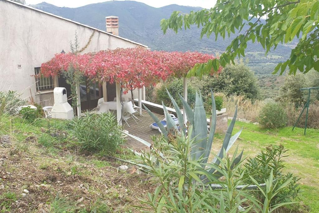 Vos Vacances A Lama France Corse 외부 사진