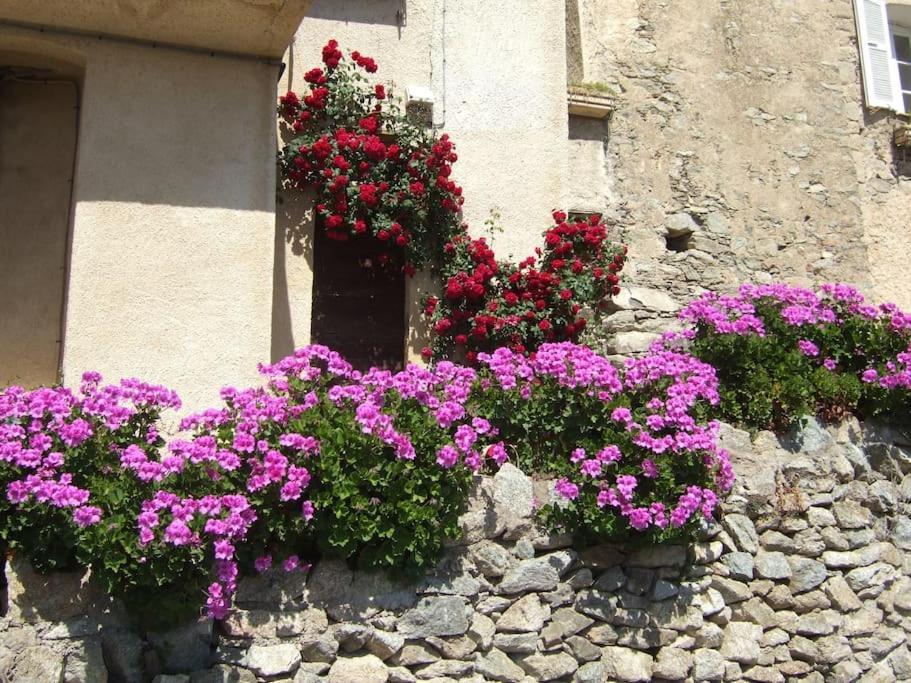 Vos Vacances A Lama France Corse 외부 사진