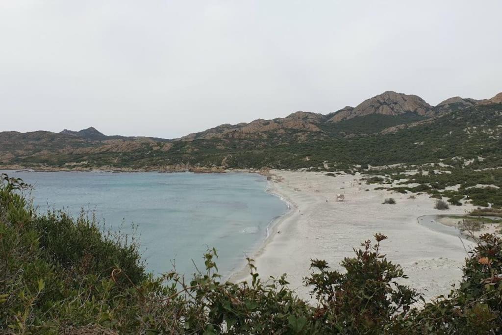 Vos Vacances A Lama France Corse 외부 사진