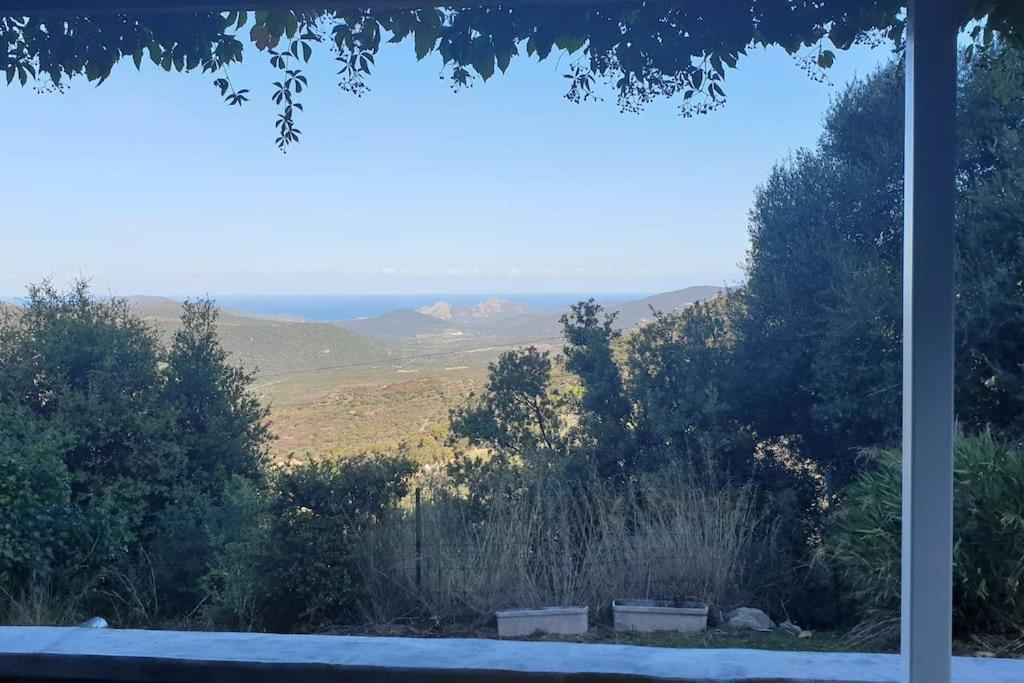 Vos Vacances A Lama France Corse 외부 사진