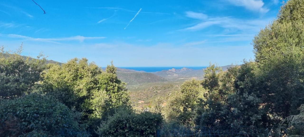 Vos Vacances A Lama France Corse 외부 사진